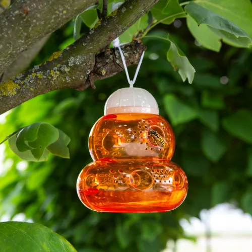 Darázscsapda (rovarcsapda). 11382